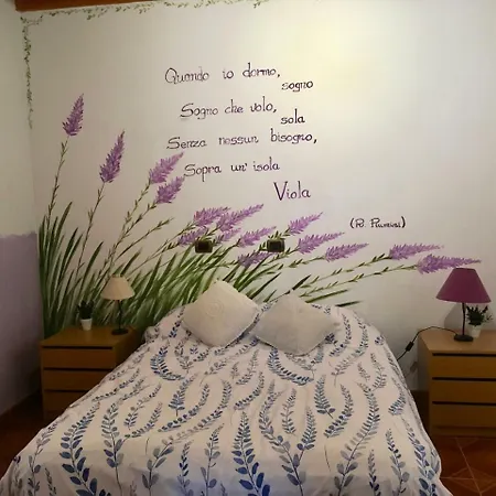 Hostel Goyita Mogan