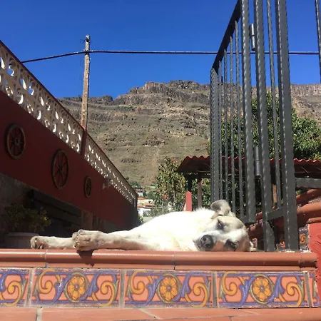 Hostal Goyita Mogán