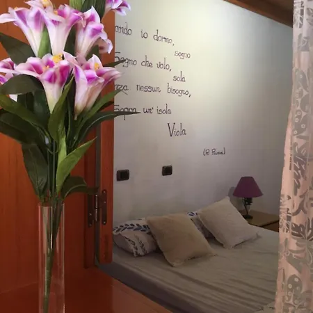Goyita Hostel *